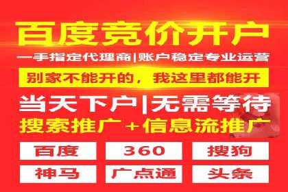 SEM竞价代运营案例：提升广告效果的关键策略
